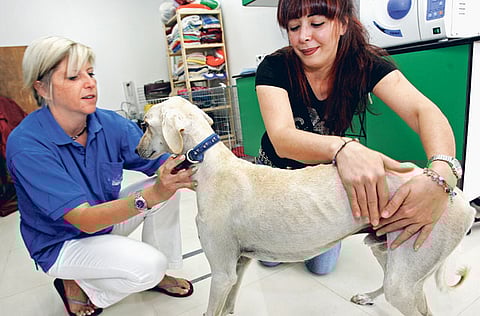 Pankaj Sharma/Gulf News