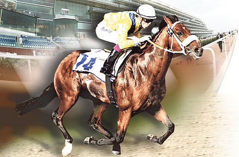 Virendra Saklani/Gulf News archive