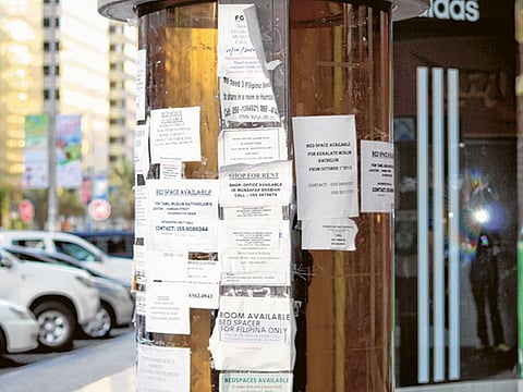 Pradeep/Gulf News Reader