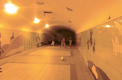 P. C. Omar/Gulf News reader