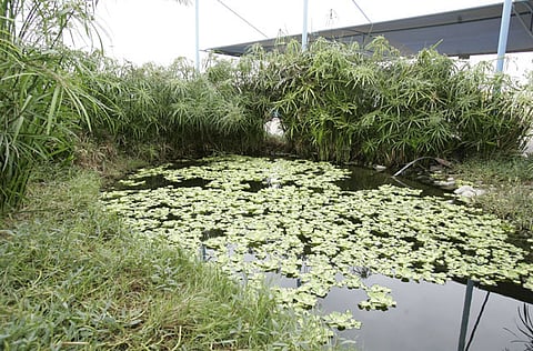 Zarina Fernandes/Gulf News