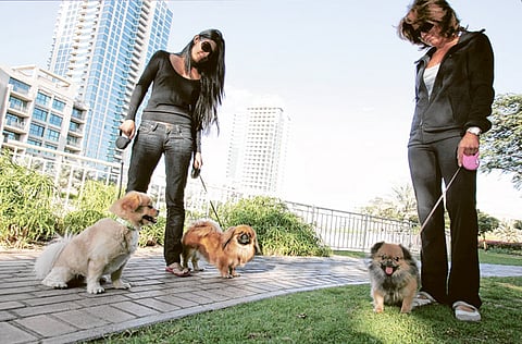 Zarina Fernandes/Xpress