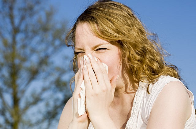 1.2221528-2425905304