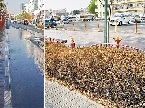 Firdos A. Poonawala/Gulf News Reader