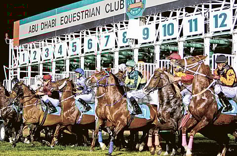 Abu Dhabi Equestrian Club will bring the curtains down on 2020 season with a rich card on Sunday. 