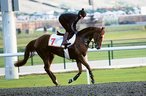 © XPRESS /Virendra Saklani