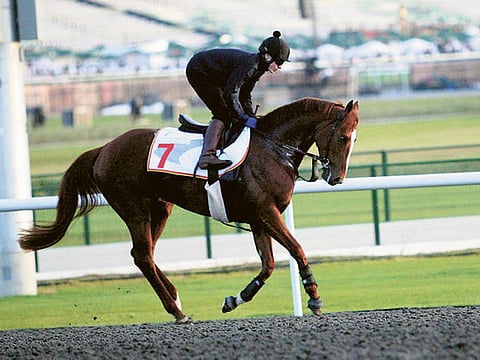 © XPRESS /Virendra Saklani