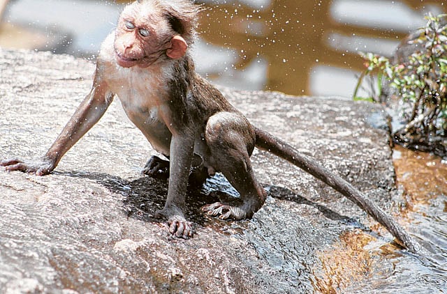 1.2291753-3140041238