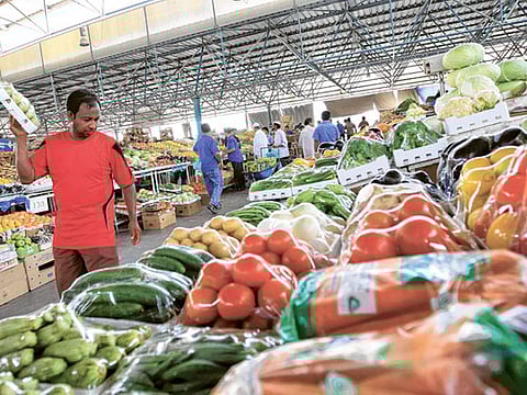 UAE’s food security lies in Africa – Al Mansouri