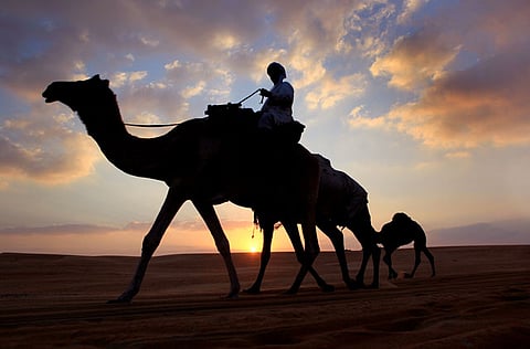 Francois Nel /Gulf News 