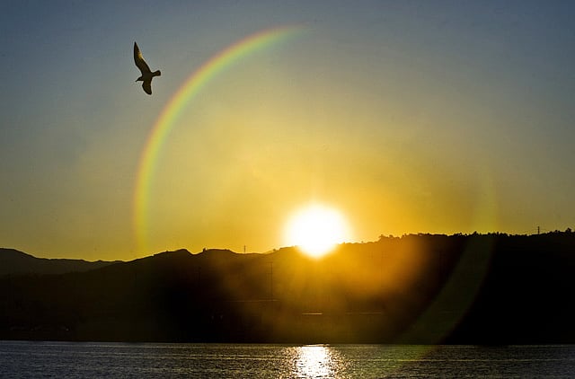 1.2093840-3274056220