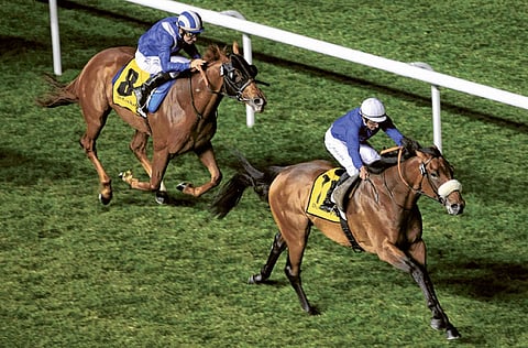 Megan Hirons Mahon/Gulf News