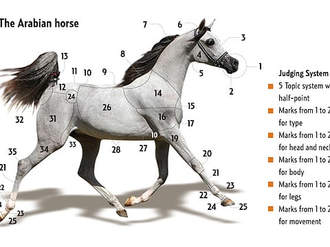 Source: DIAHC; Gulf News