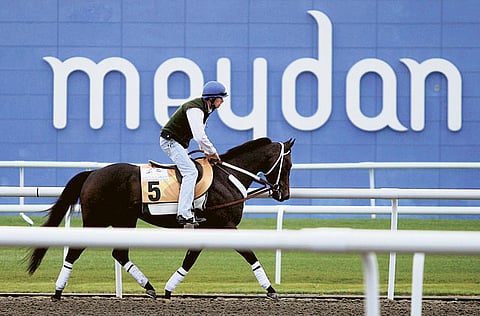 Francois Nel /Gulf News