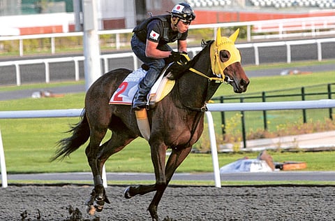 Virendra Saklani/Gulf News