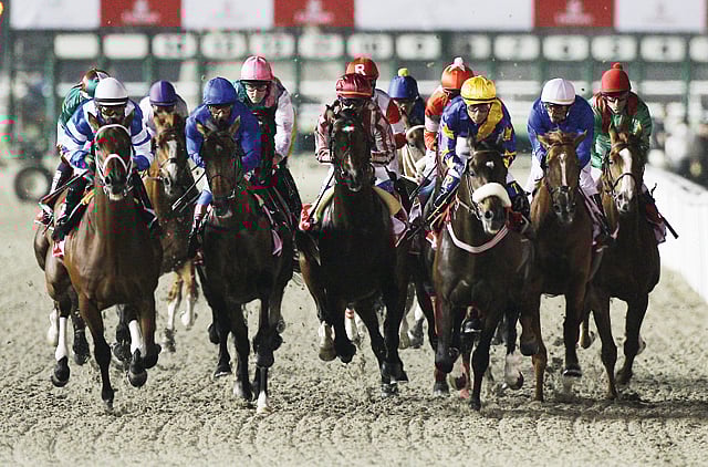 1.1696131-4235649682