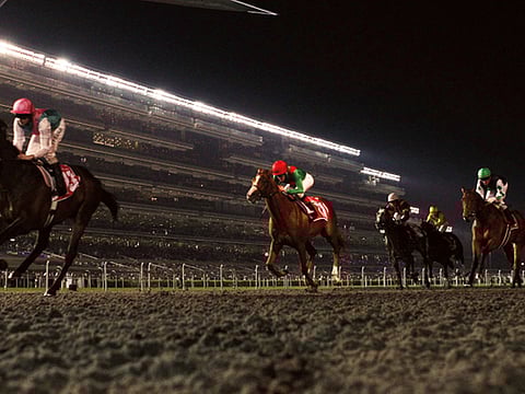 Gulf News Archive/Megan Hirons Mahon