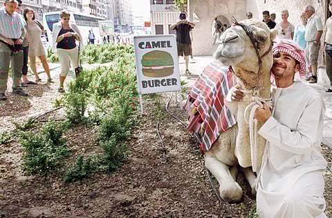 © XPRESS / Zarina Fernandes