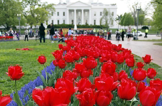 1.1245789-1567566699