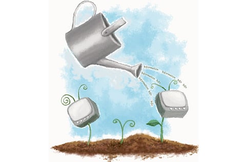 Illustration: Dana A. Shams/©Gulf News