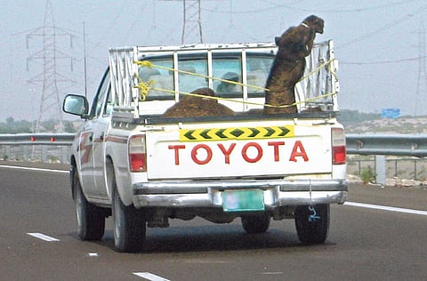 Shihab Jinna/Gulf News reader