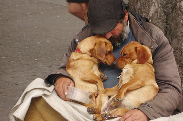 1.2177280-2817263354