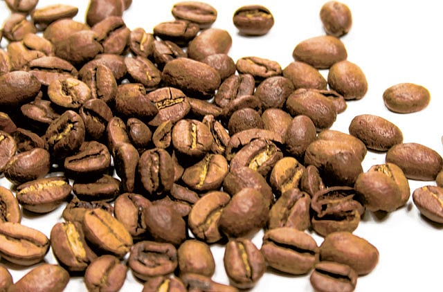 1.1395722-2225131069