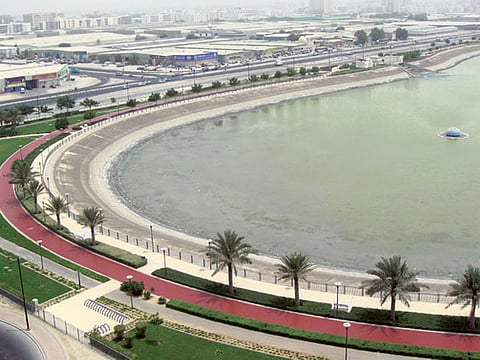 By Sukaina Lilani Gulf News Reader