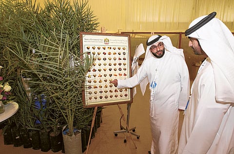 Abdul Rahman/Gulf News 