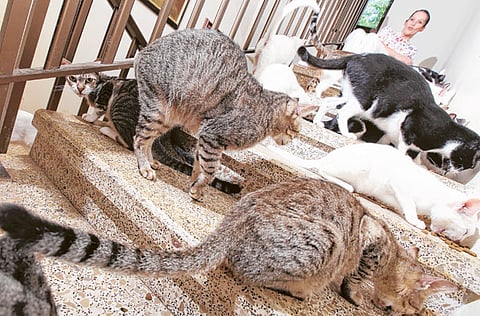 Oliver Clarke/Gulf News