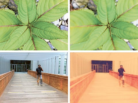 Oliver Clarke/Gulf News