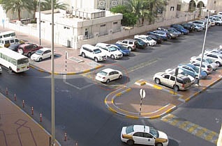 Gulf News reader Vineeta M.