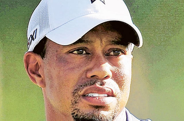 1.1306749-3033189154