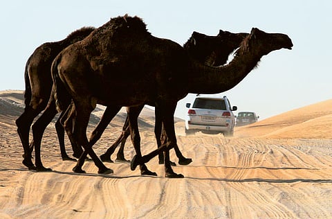 Pankaj Sharma/Gulf News