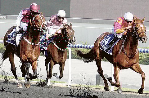 Arshad Ali/Gulf News