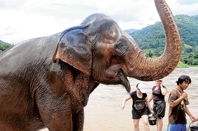 1.1664298-1117049935