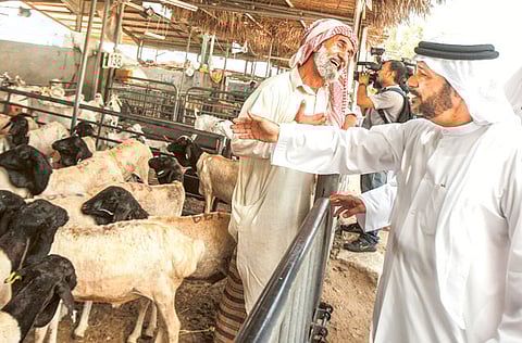 Ahmed Ramzan/Gulf News