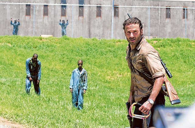 1.1262580-1755115945