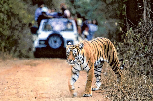 1.1091116-2199094022