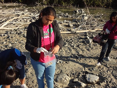 Supplied by Shrudi Saagari Ravee