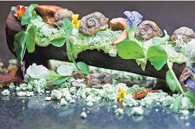 1.1091141-1346038528