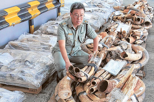 1.1092090-1550465152