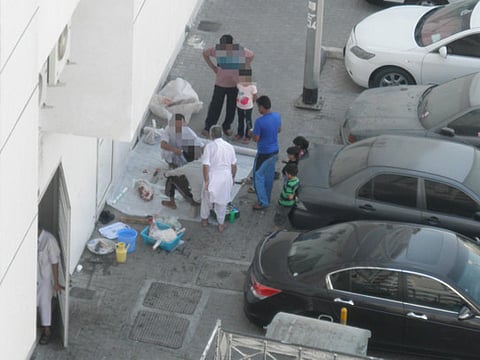 Makeshift slaughter points