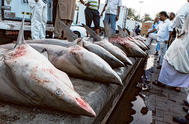 1.1086637-2811659722