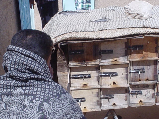 1.1105798-2951905931