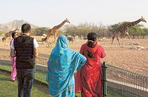 Al Ain Zoo