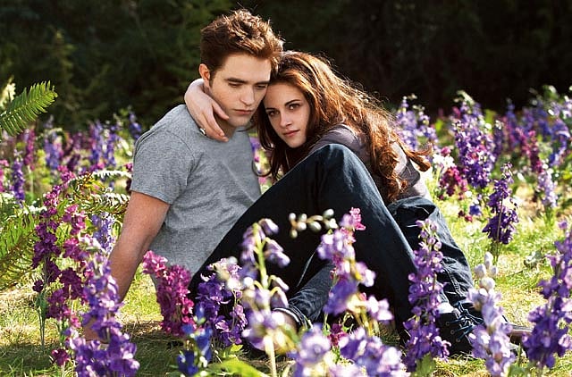 1.1150175-2351005611