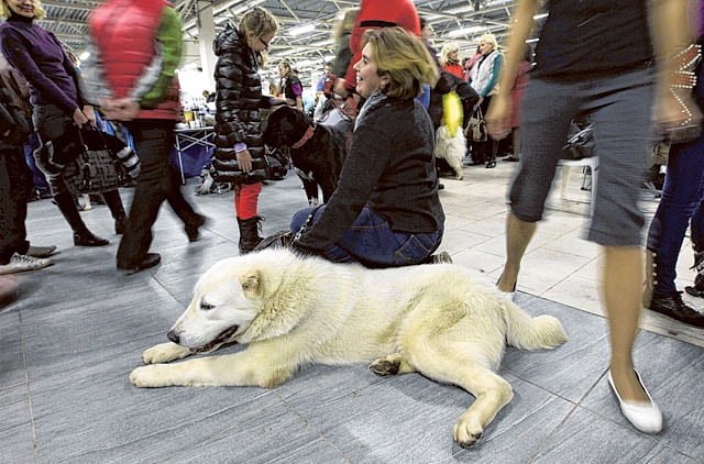 1.1108747-3668885161