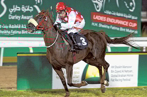 Ahmed Kutty/Gulf News