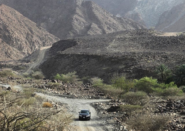 1.1111128-2137856104